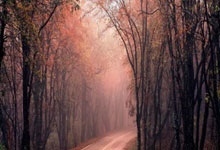 j9九游会官网：曼城准备1亿欧报价佩德里？马卡：巴萨不会出售佩德里.