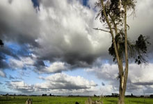 有他在就一个放心，佩德里当选巴萨vs奥萨苏纳全场最佳.