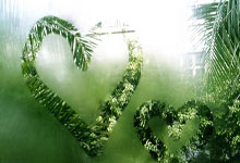 里约网球公开赛：科梅萨纳爆冷逆转兹维列夫晋级四强.